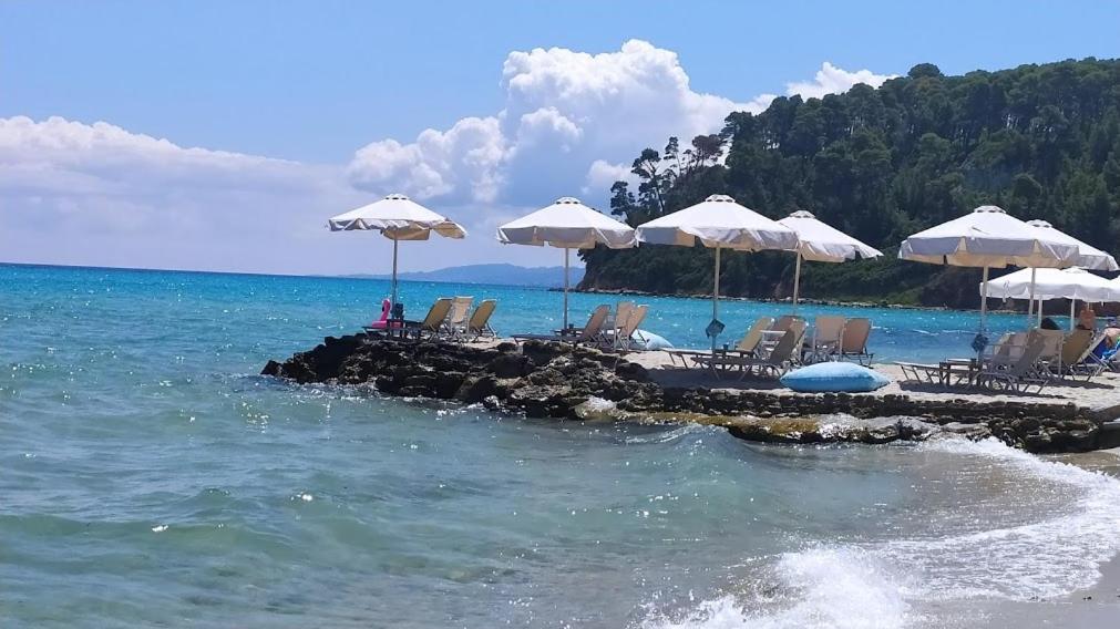Vitaminsea * Kallithea (Chalkidiki)